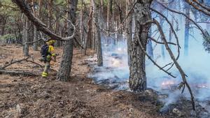 Diecisiete dotaciones de bomberos luchan contra un incendio en Miraflores (Madrid)