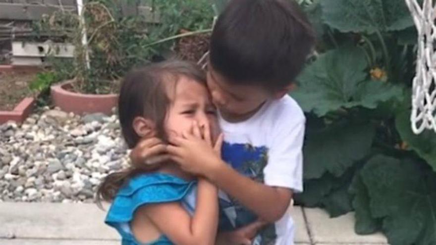 El último viral: el tierno gesto de un niño con su hermana