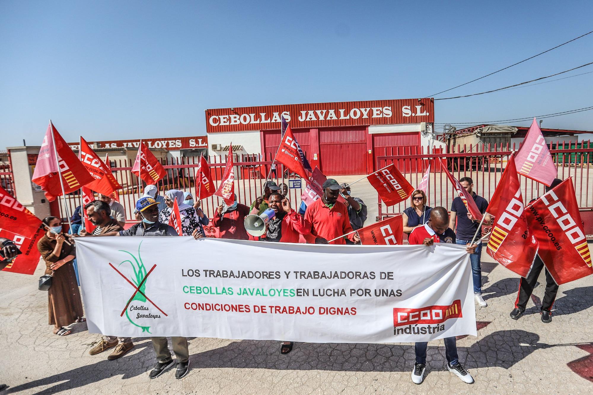 Trabajadores de Cebollas Javaloyes en Cox se concentran por "trato discriminatorio y represión sindical" en el día del Ramadán