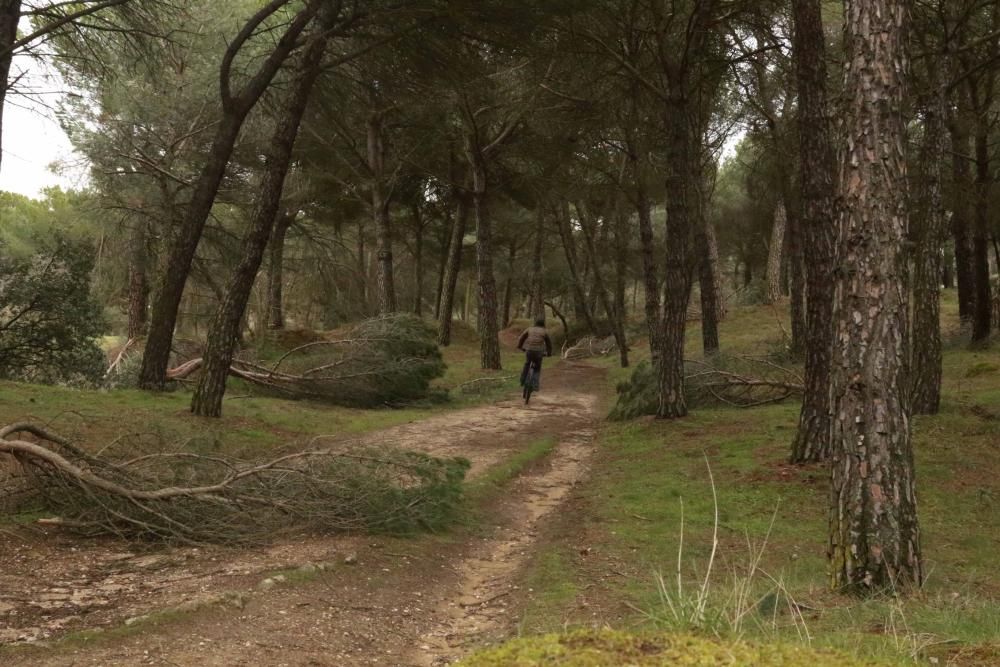 Temporal en Zamora.