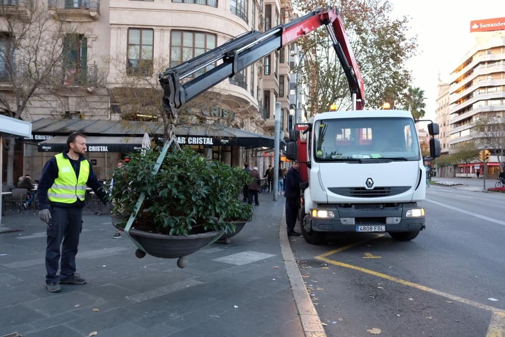 Colocan barreras para impedir el tráfico en Plaza de España y es Born