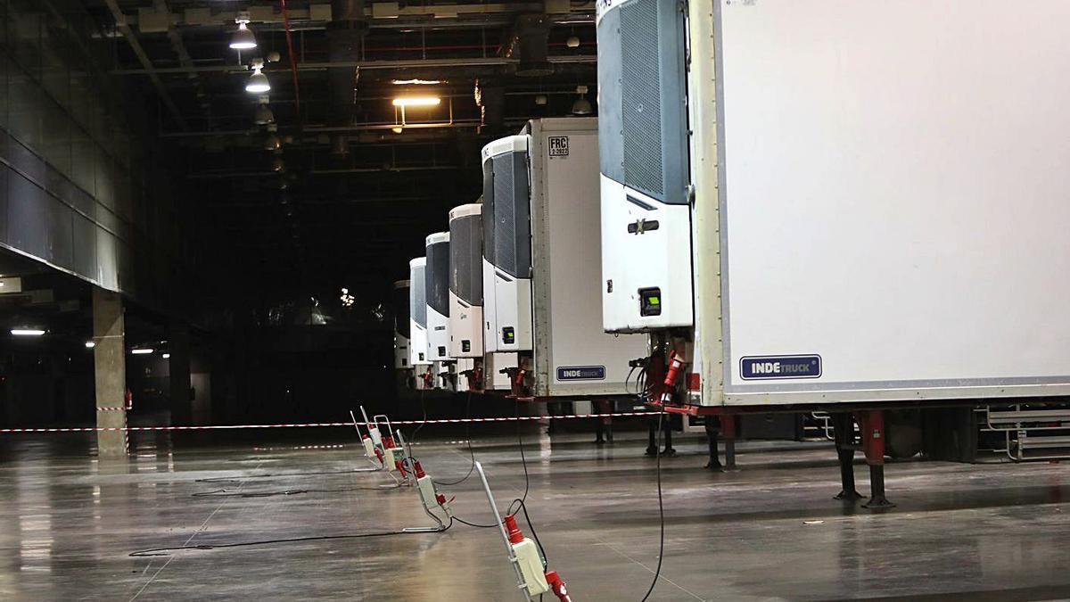 Seis camiones frigoríficos almacenan residuos sanitarios ante el desborde en los hospitales, ayer.  | F.CALABUIG