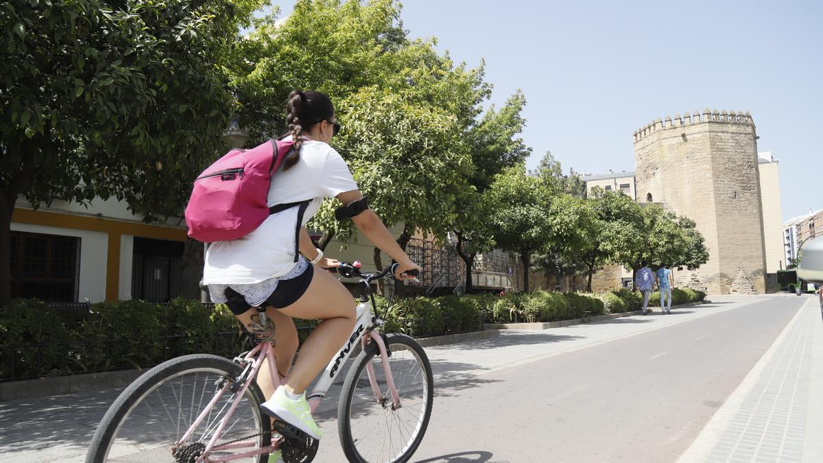 Imagen del carril bici de Ollerías en uno de los pocos tramos con arbolado.