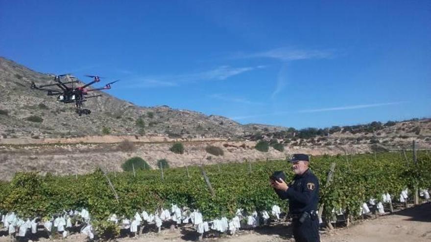 La Policía Local vigilará la uva de Novelda con drones