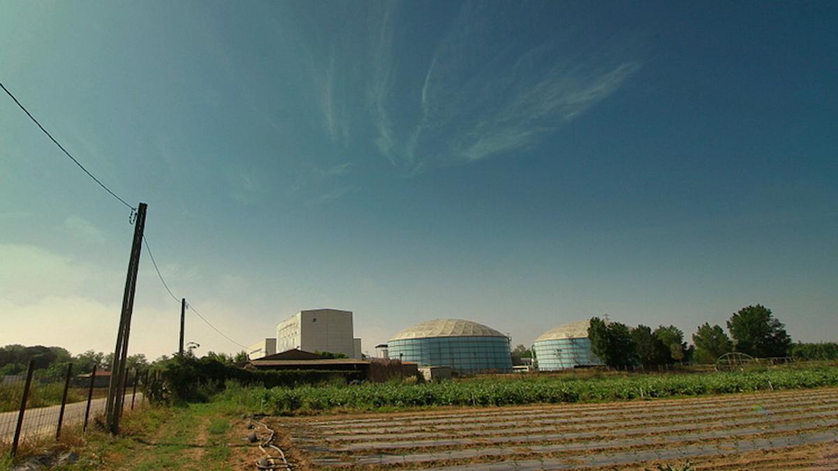 Alguns conreus on es preveu ampliar la planta dessalinitzadora de Blanes amb l&#039;actual infraestructura al fons