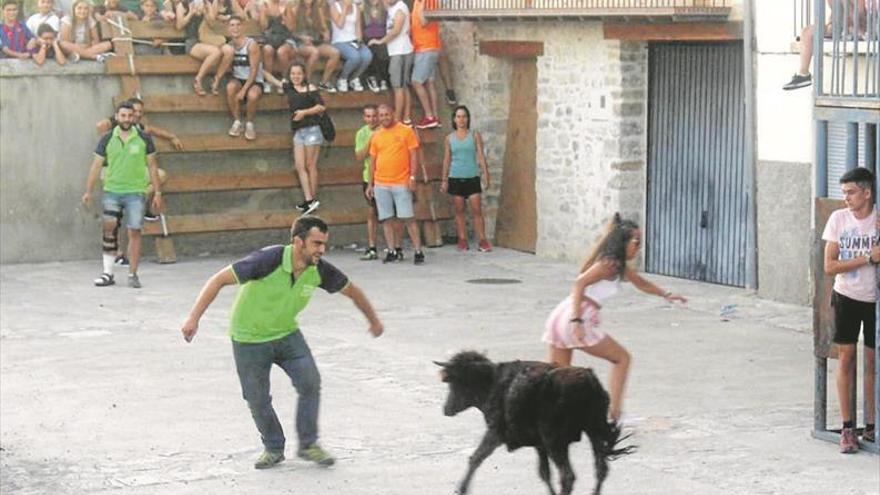 Villores lleva a votación vecinal la continuidad de los ‘bous al carrer’