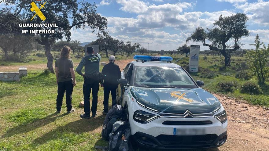 Auxilian a dos peregrinos encaramados a una encina tras embestirles unas vacas en Alcuéscar