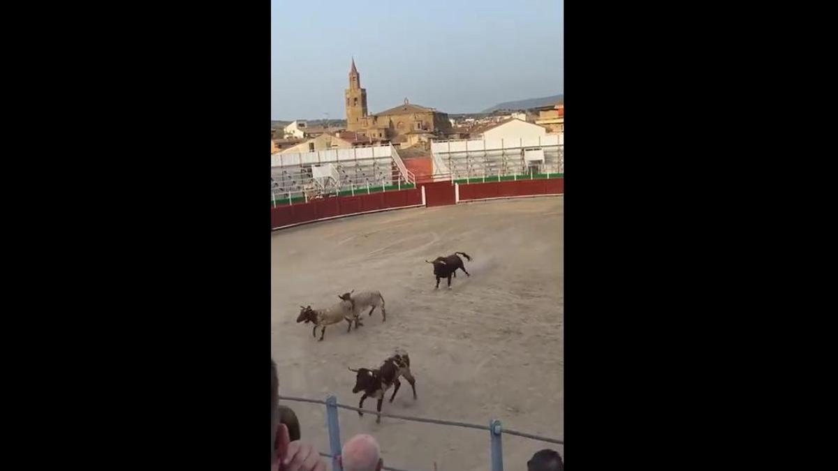 Desencajonamiento en Barbastro