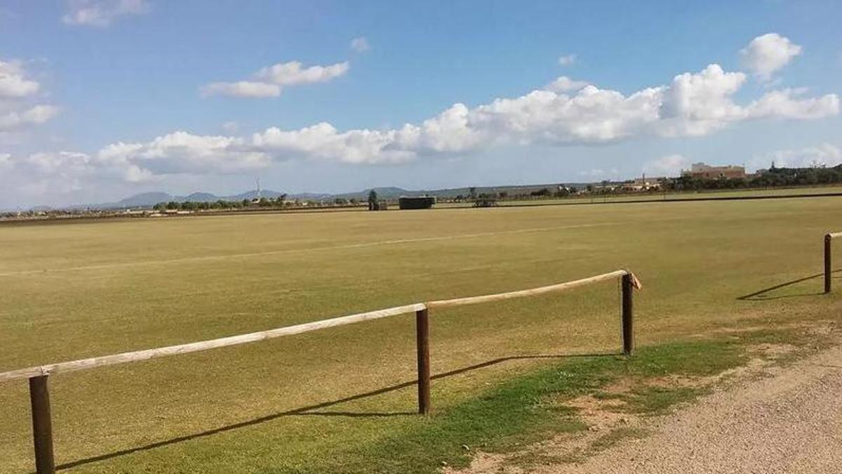 Das Polofeld Sa Barralina in der Gemeinde Campos.