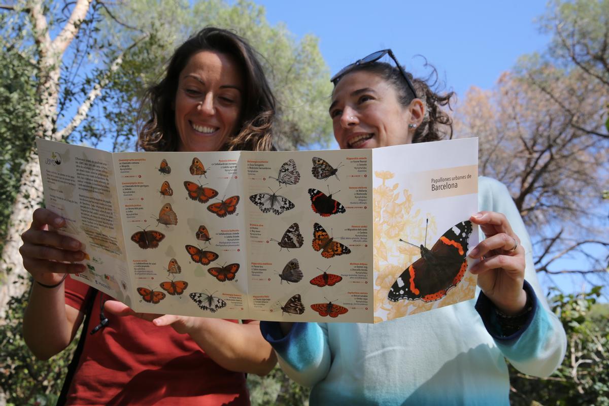 Melero y Calzada leen la guía de mariposas urbanas.
