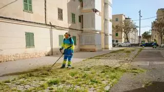 Emaya consolida la mejora del servicio de eliminación de malas hierbas con un aumento del 80 por ciento de las actuaciones a lo largo de los últimos tres años