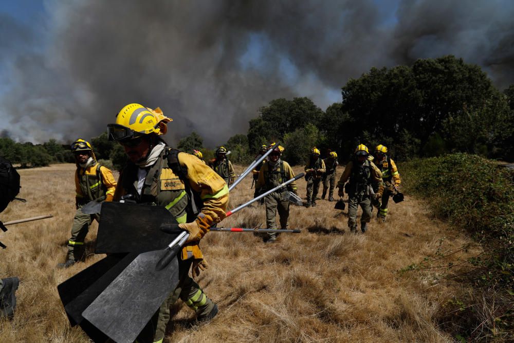 Incendio Pino del Oro y Castro de Alcañices