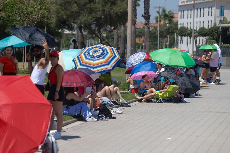 Colas para ver a Rosalía en plena ola de calor en València