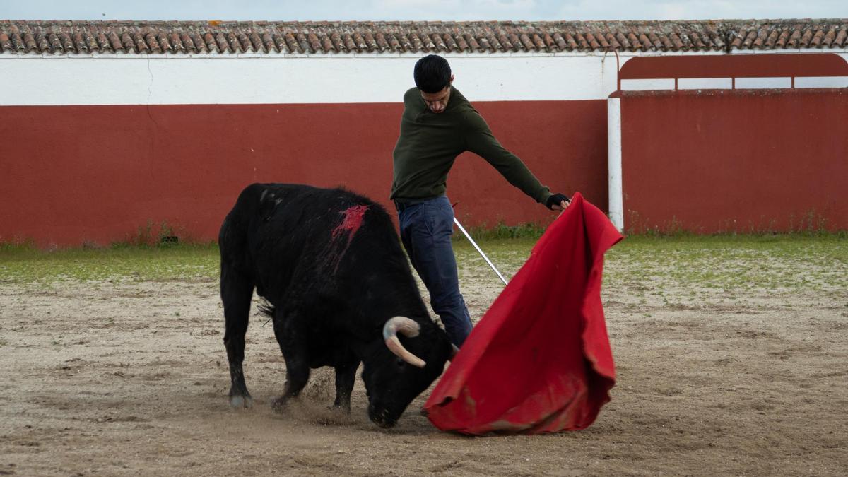 Toros Valencia | Talavante: