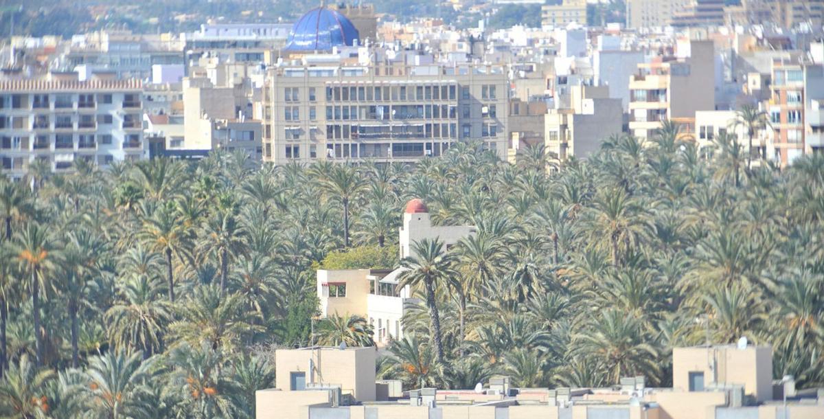 Una vista del Palmeral, con construcciones en primer plano y al fondo de la imagen. | MATÍAS SEGARRA
