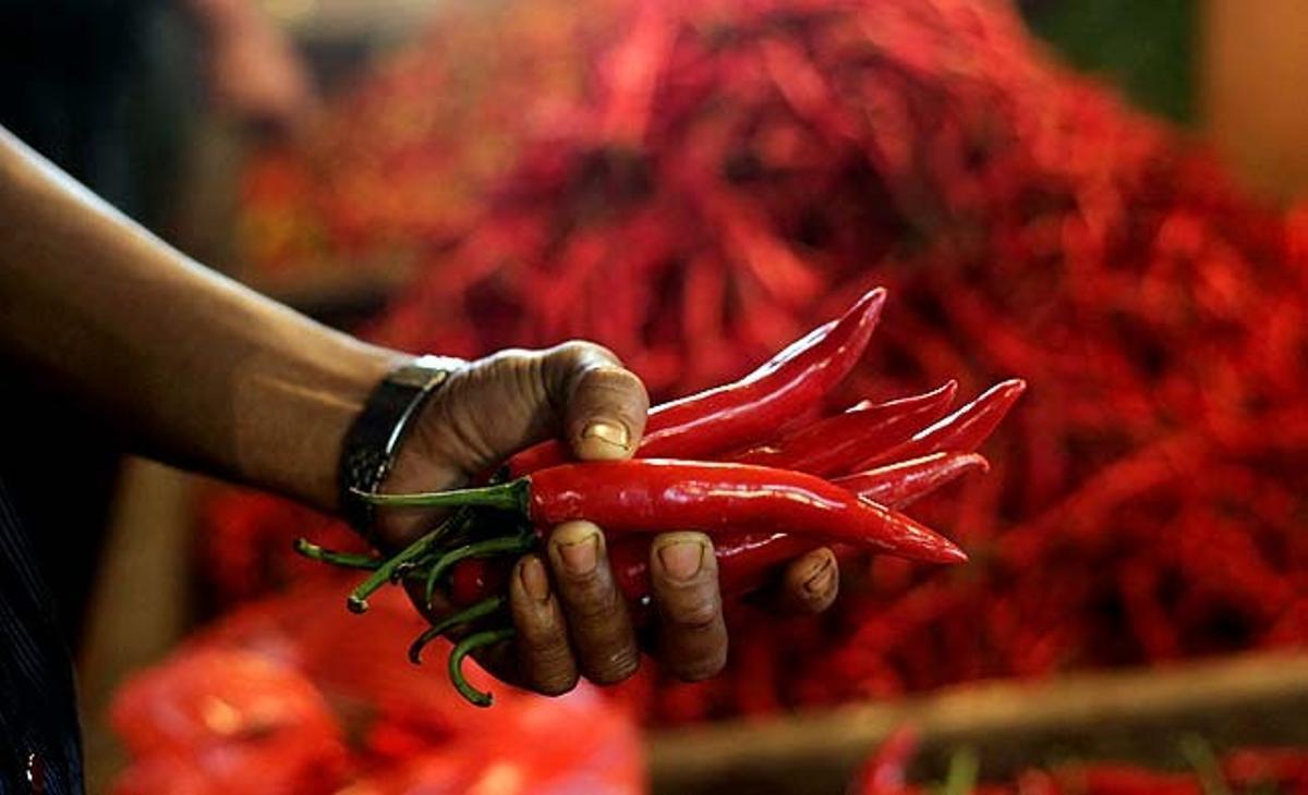 Un client agafa un grapat de bestioles en un mercat de Jakarta (Indonèsia).
