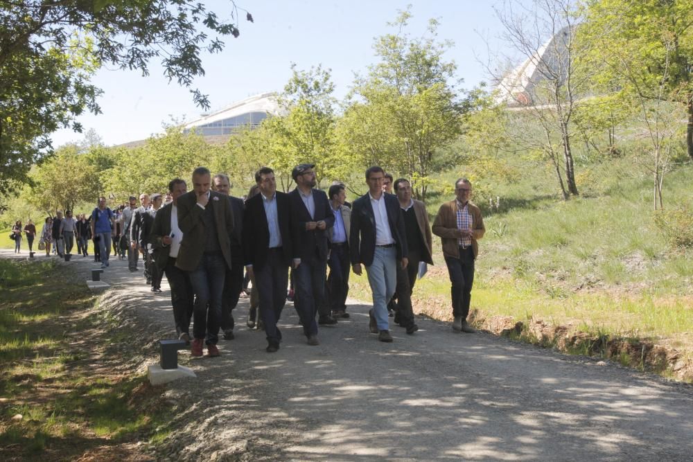 Inauguración del Bosque de Galicia