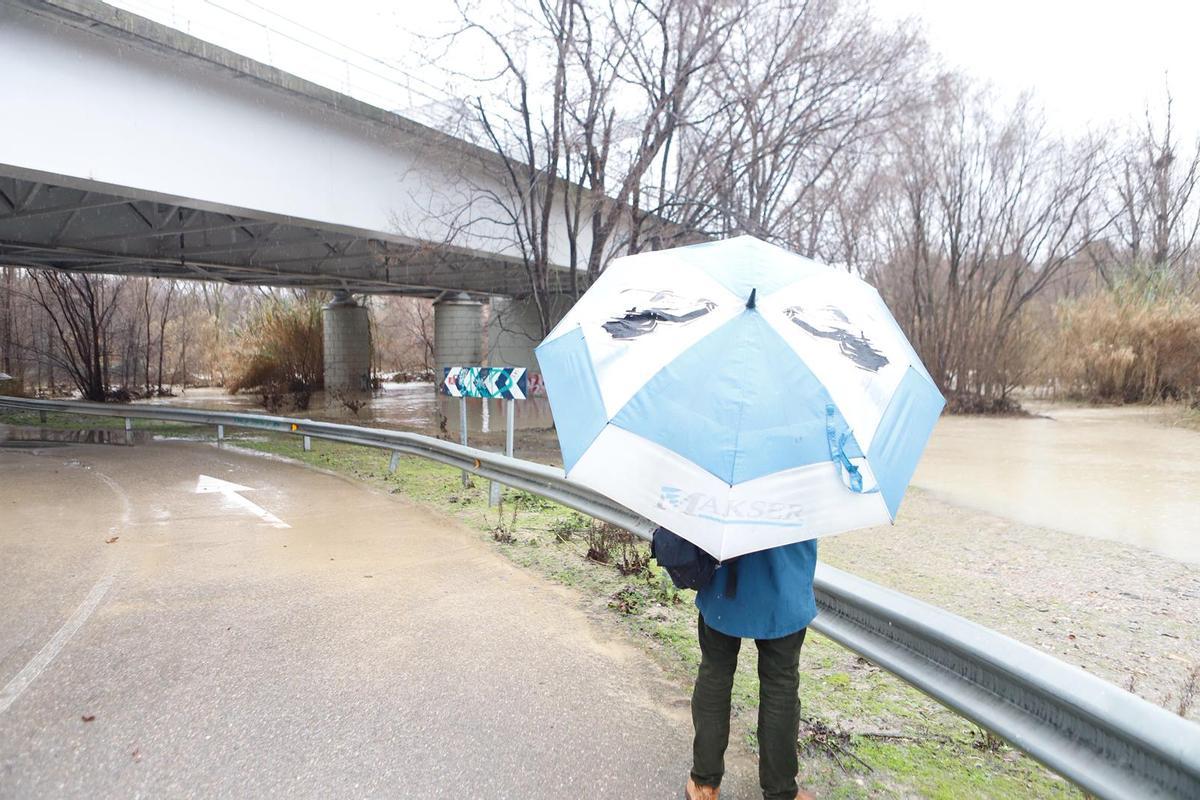 Así luce el río Ebro este viernes 13 de febrero