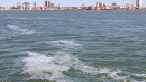 El Mar Menor recibe contaminantes cuyos daños aún se desconocen.