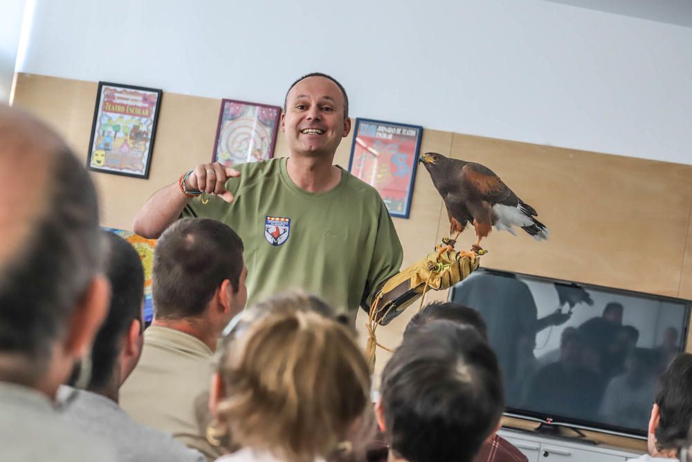 Aves rapaces forman parte de un programa educativo