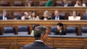 El presidente del Gobierno, Pedro Sánchez, interviene durante un pleno en el Congreso de los Diputados el pasado mes de abril. 