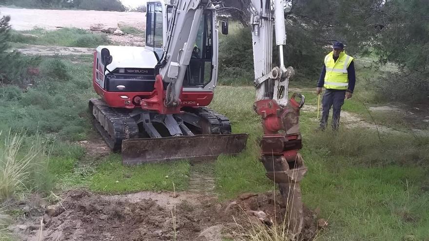La Generalitat regenera 30 hectáreas de la pinada en el Moncayo de Guardamar donde se secaron miles de pinos entre 2023 y 2025