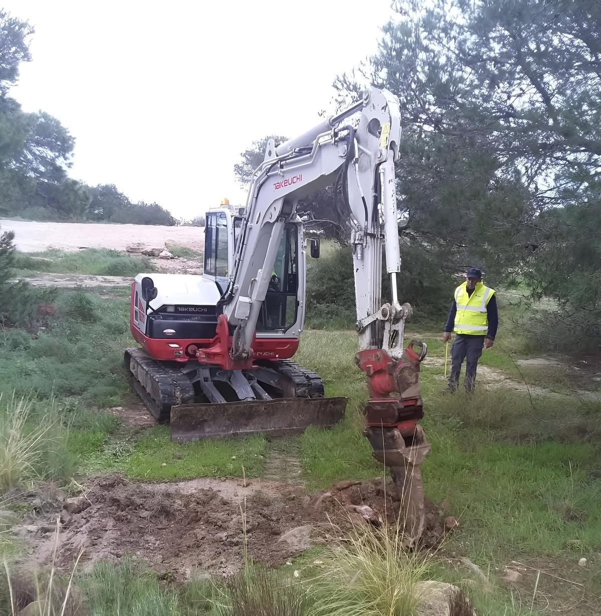 Inicio de los trabajos de reforestación en la zona del Moncayo