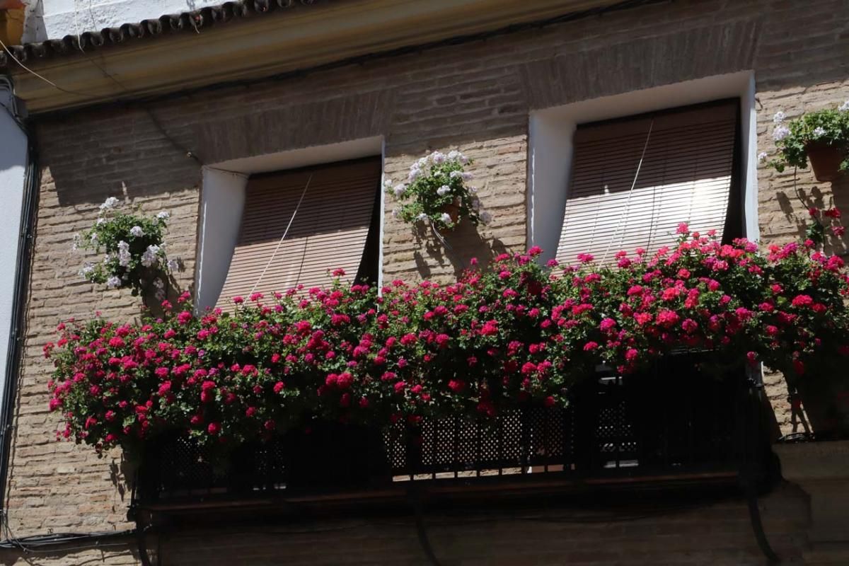 Rejas y balcones en junio