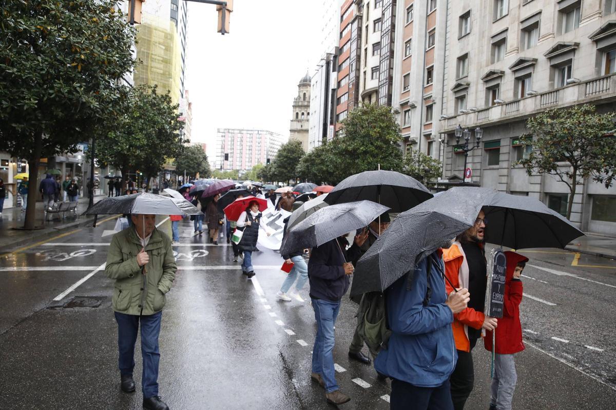 Así fue la gran manifestación contra la contaminación por las calles de ...