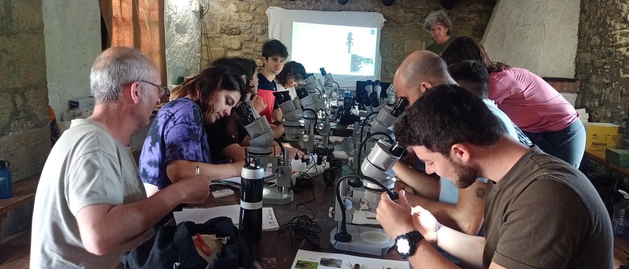 La Universidad de Alicante imparte la formación a los voluntarios