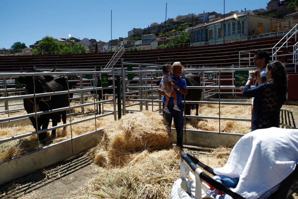 Feria agroalimentaria de Fermoselle