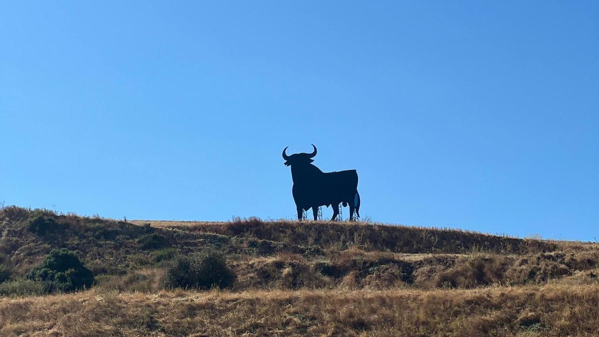 Toro de Osborne