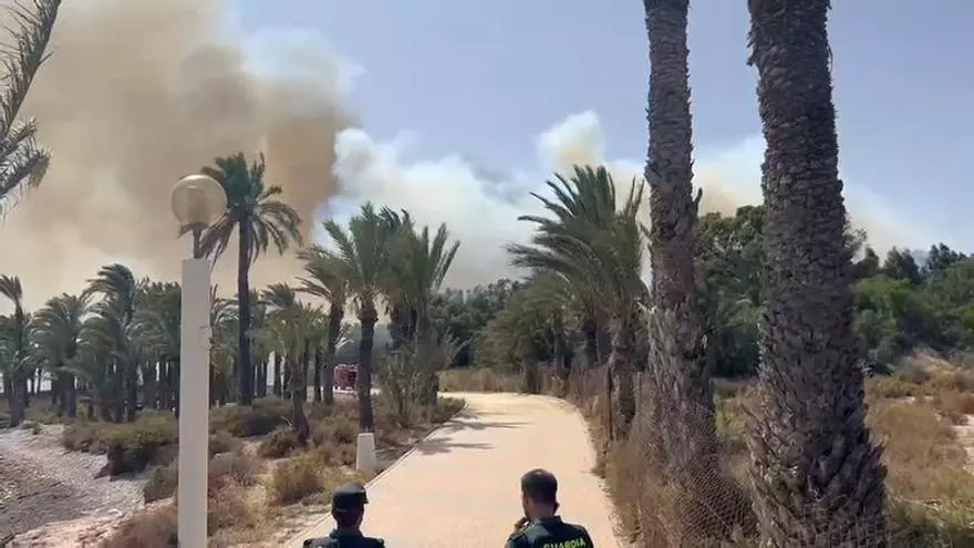 Incendio en La Azohía: las llamas afectan a una zona próxima al Palmeral de San Miguel