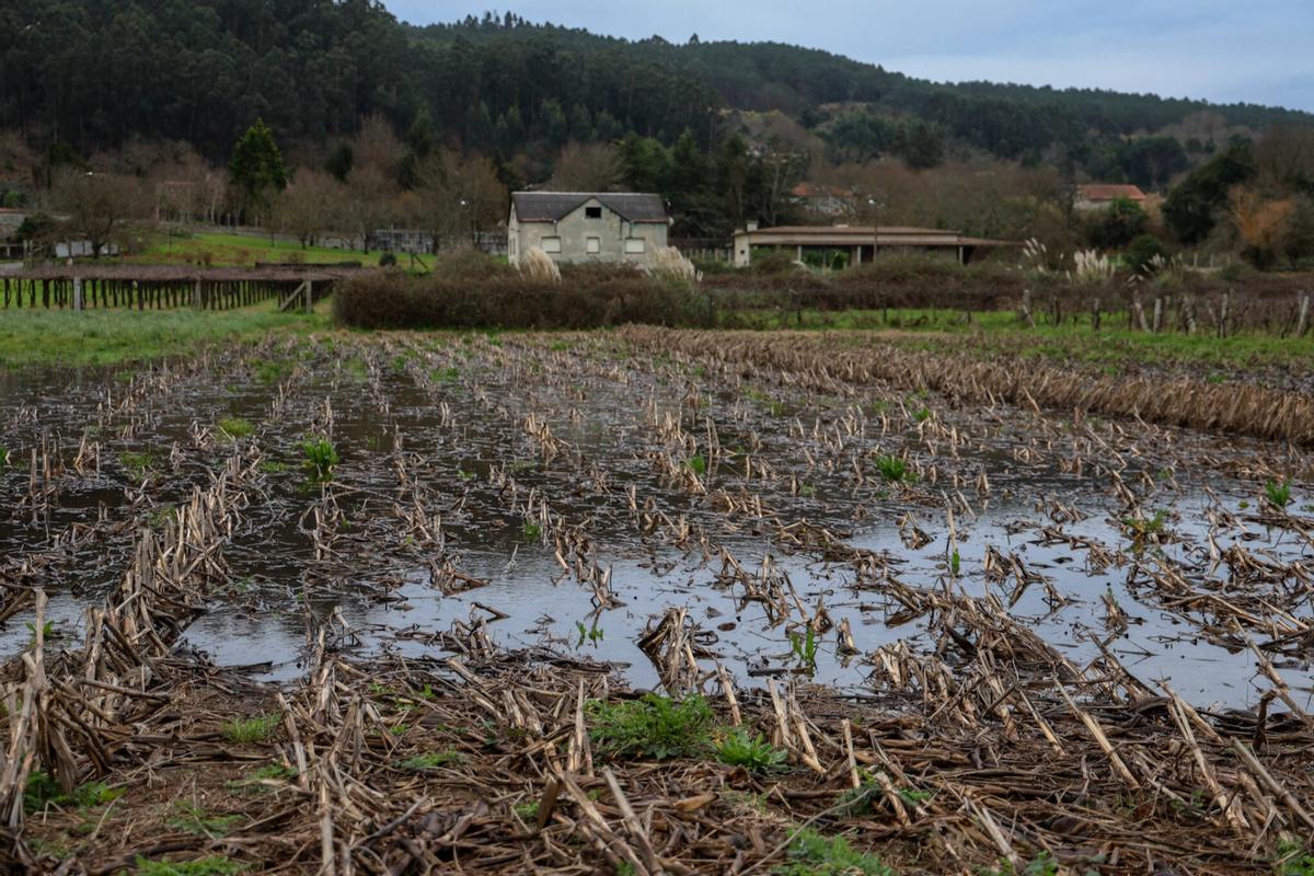 La huella de la borrasca Ingrid en la comarca.