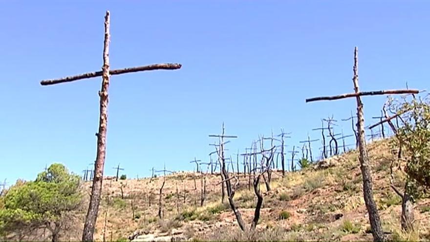 VÍDEO / Un bosque de cruces en vez de árboles