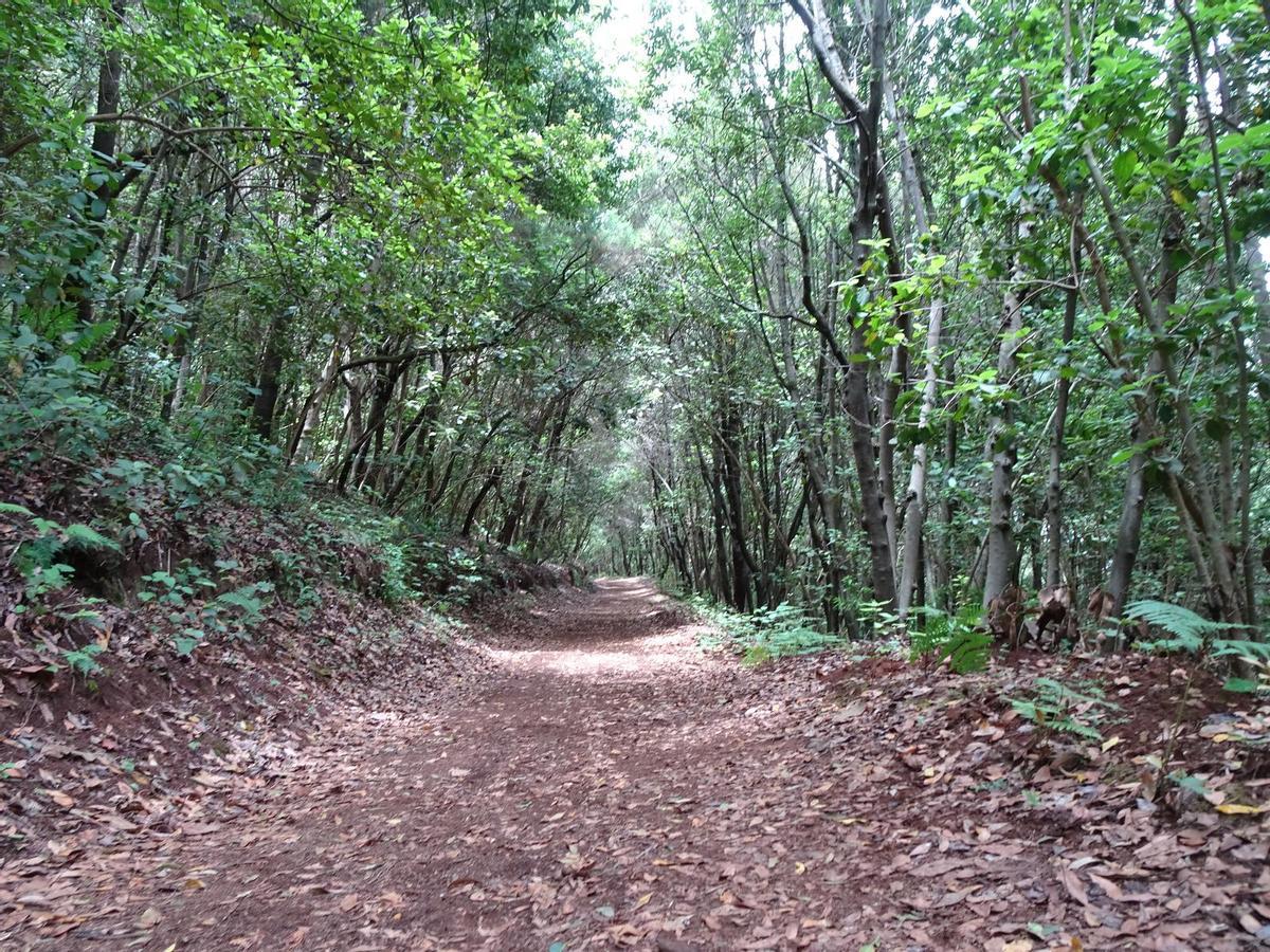 Ruta Circular La Esperanza