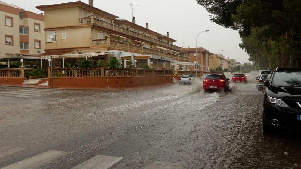 Überschwemmungen und umgestürzte Bäume auf Mallorca.
