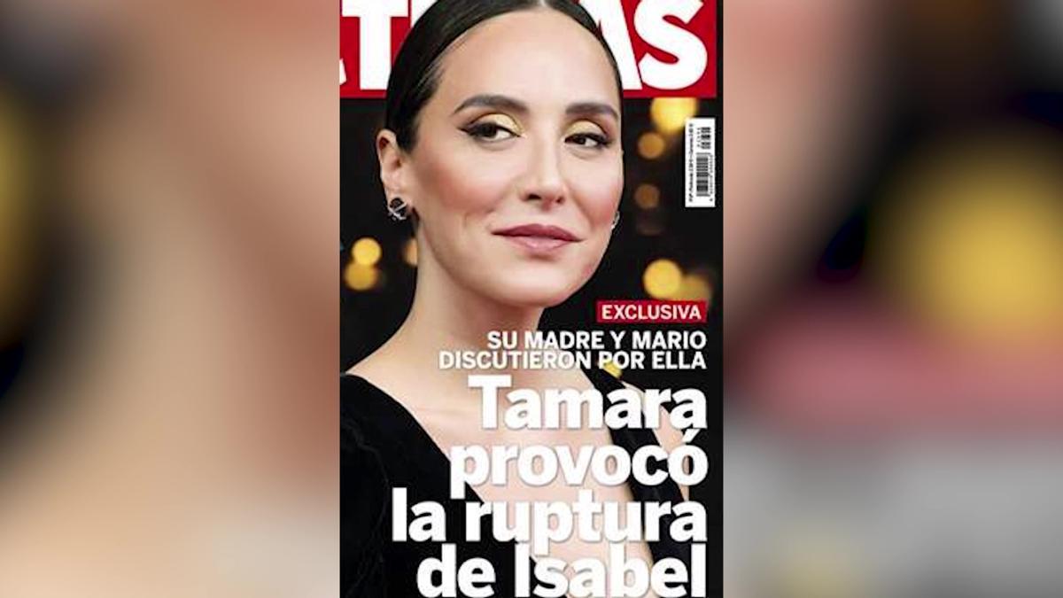 Tamara Falcó habría sido el detonante de la ruptura entre Isabel Preysler y  Mario Vargas Llosa - Levante-EMV