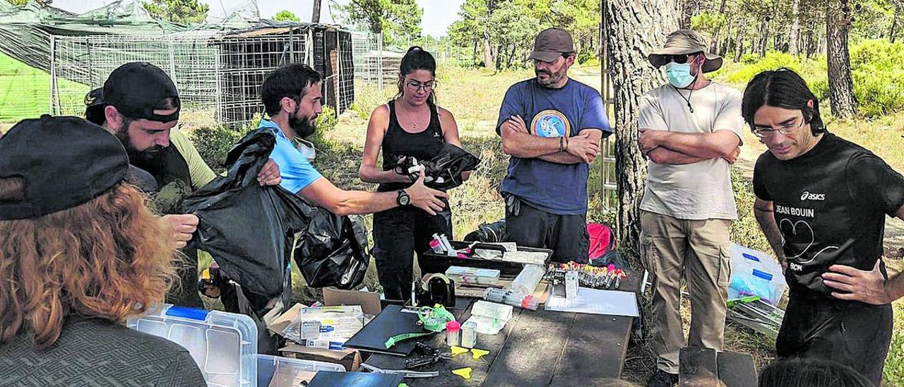 Veterinarios del CEU, en trabajo de campo, plantean hacer serologías a animales silvestres y domésticos.