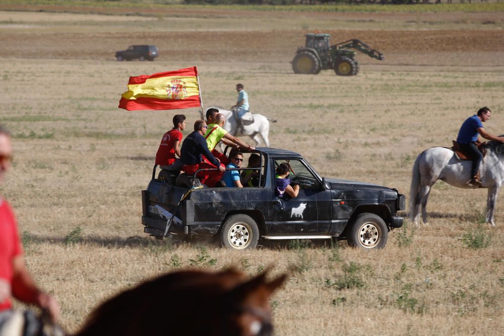 Encierro campero Coreses