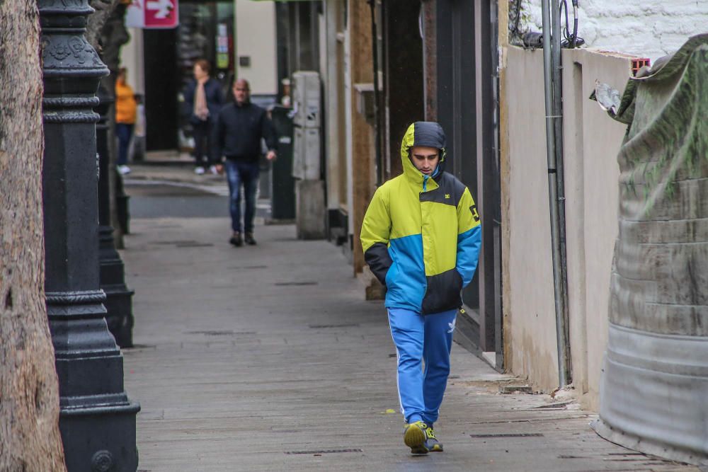 Las fuertes rachas de viento han provocado la caída de cascotes, árboles y toldos en la Vega Baja y la intervención de la Policía Local y Bomberos en Torrevieja y Orihuela