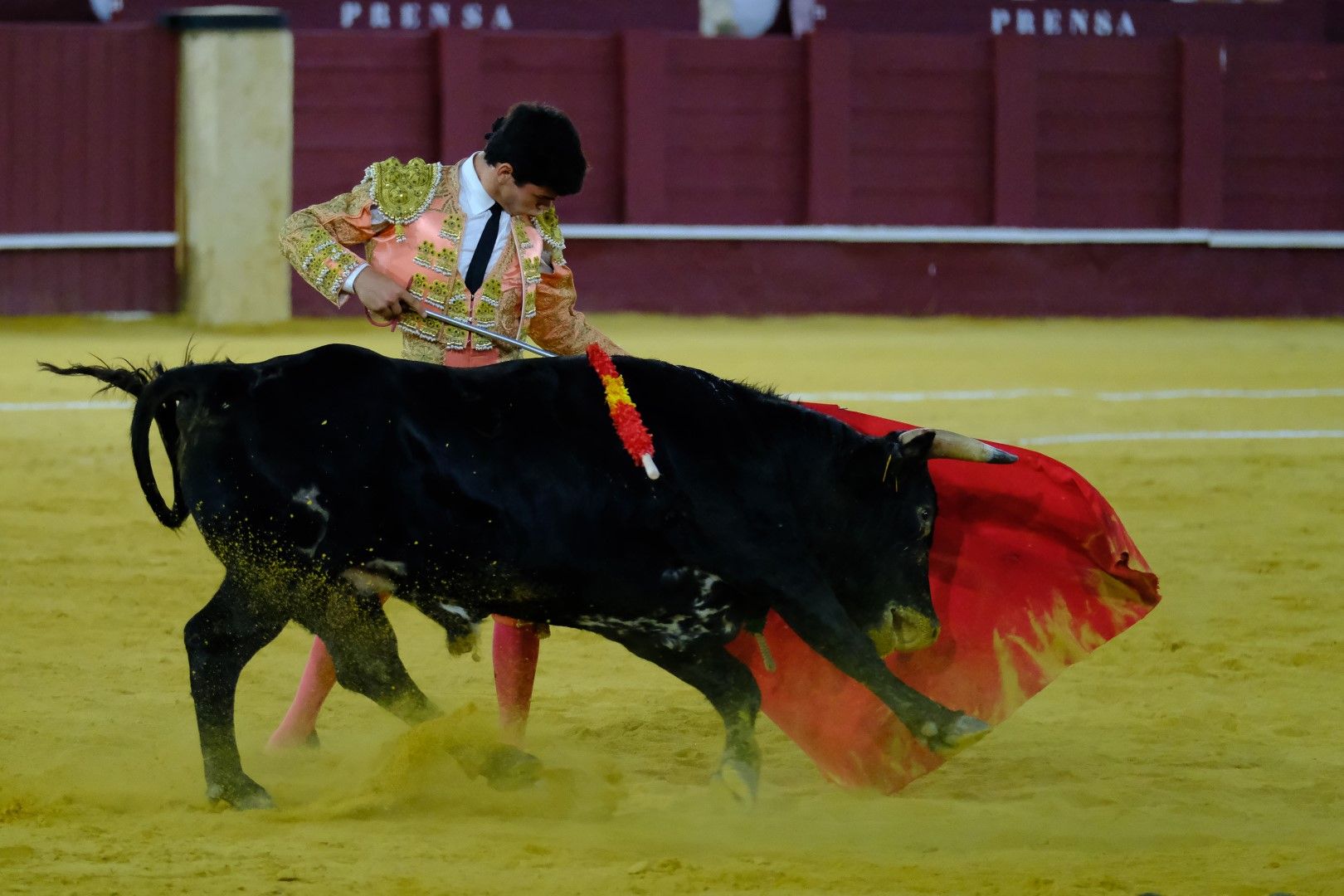 XVI Certamen Internacional de Escuelas Taurinas La Malagueta