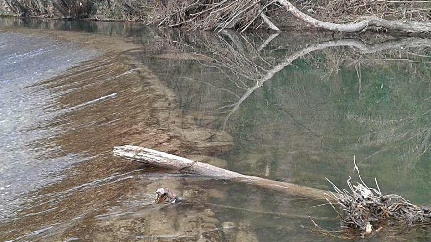 Imatge de la resclosa dels Manresans, a l&#039;inici de la captació d&#039;aigua del Llobregat, a Balsareny