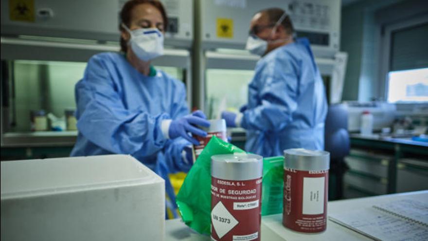 Los técnicos de laboratorio manipulan muestras de pacientes que se guardan en recipientes de seguridad.