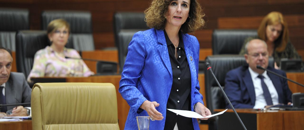 La consejera de Transición Ecológica y Sostenibilidad, Olga García, en el pleno de la Asamblea.