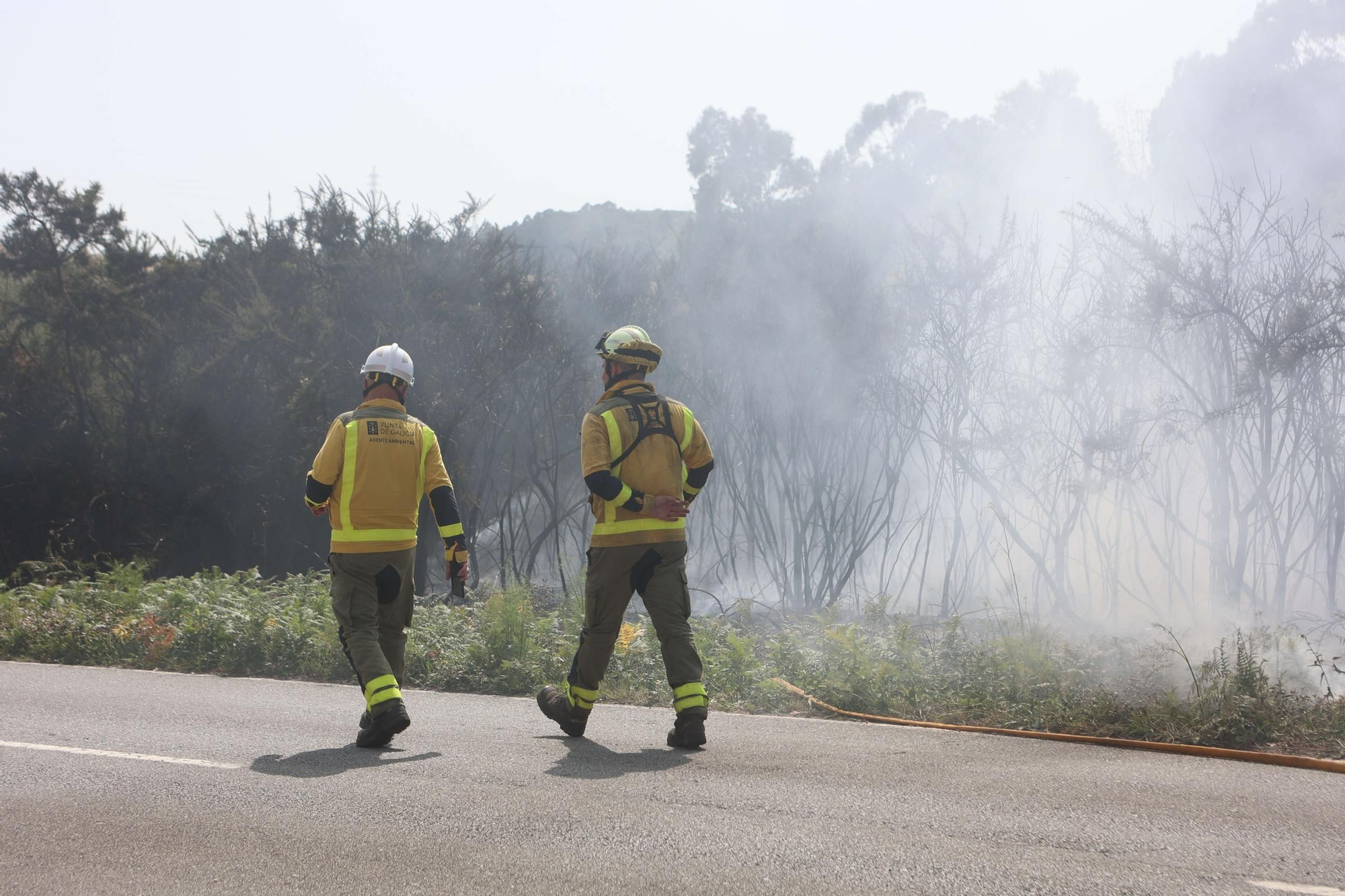 Segundo incendio forestal en el entorno de Os Rosales