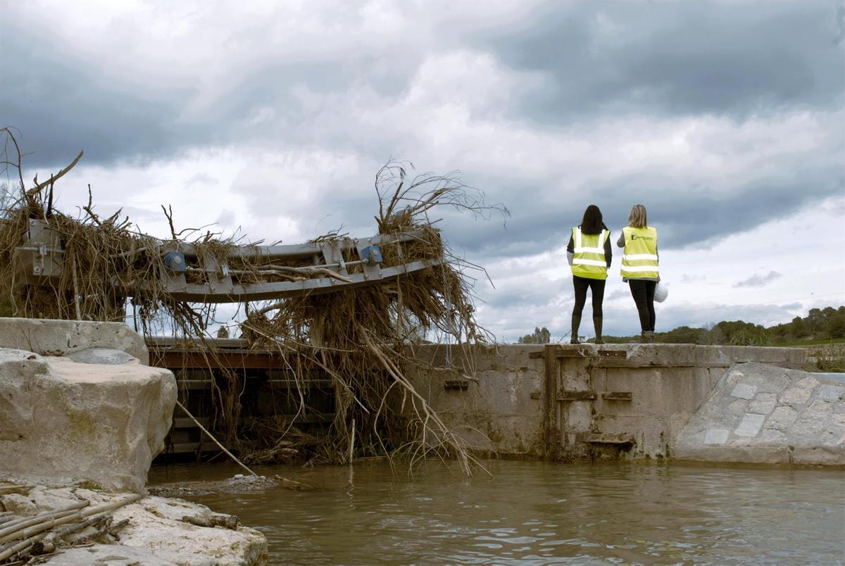 La fotografía ganadora, titulada 'Esperanza y compromiso', de Pura Almenar.