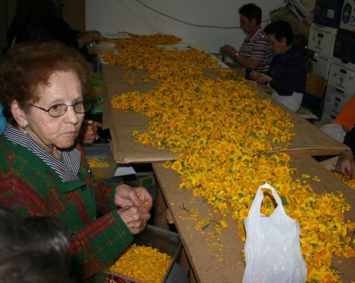 Castropol deshoja el Corpus