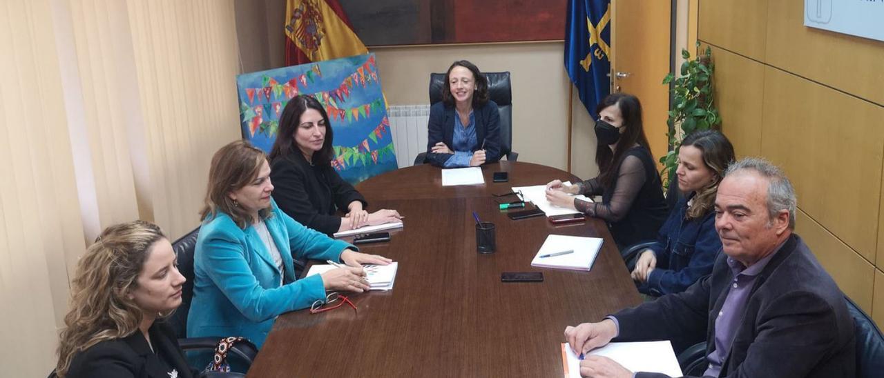 Reunión de la mesa sociosanitaria de FADE con la consejera de Derechos Sociales y Bienestar, Melania Álvarez. | LNE