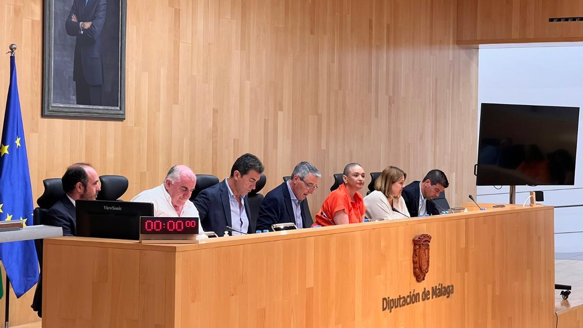 Sesión del último pleno de la Diputación Provincial de Málaga de este mandato.
